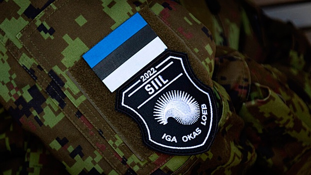 В Эстонии проходят крупные учения при участии армий стран НАТО «Еж-2022»