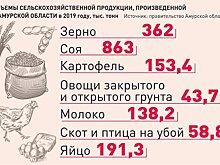 Василий Орлов: За два года решим главные проблемы овощеводства