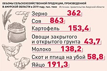 Василий Орлов: За два года решим главные проблемы овощеводства