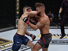 UFC 249. Келвин Каттар снёс Джереми Стивенса с локтя — видео кульминации