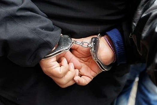 Мужчину, укравшего бензопилу из квартиры, задержали в Егорьевске