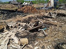 Сгорело всё дотла: костромичей просят помочь многодетной семье, которая осталась без дома