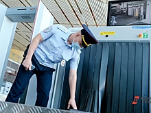 Уральские таможенники не разрешили ввезти в Екатеринбург четыре кило ресниц