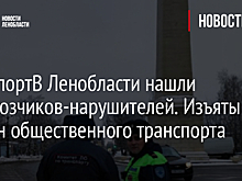 В Ленобласти нашли перевозчиков-нарушителей. Изъяты 17 машин общественного транспорта