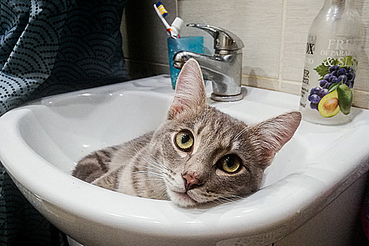 График отключения горячей воды-2024 опубликовали в Новосибирске