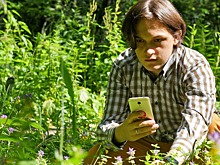 Студенты проходят практику дистанционно