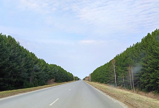 В Омской области участки двух федеральных трасс расширят до четырех полос