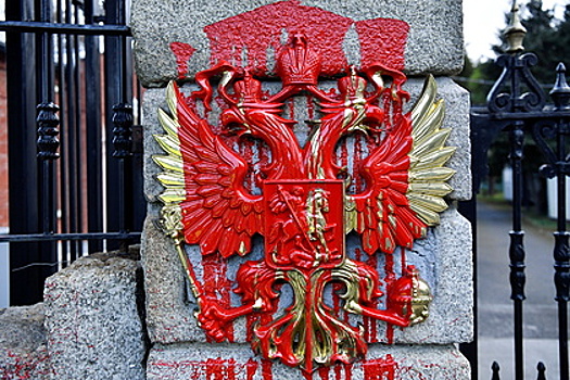 Сотрудники посольства России в Ирландии заявили об угрозах