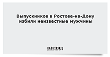 В Ростове-на-Дону проведут проверку после избиения выпускников