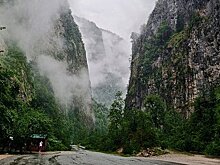 Россиянам раскрыли наиболее удобный способ добраться до курортов Абхазии