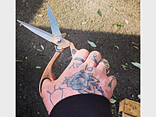 Парикмахер посоветовал не приносить в салон красоты фото звезд