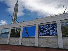 На склоне площади Славы в Самаре открылась фотовыставка "Все, что является частью Вселенной"