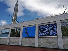 На склоне площади Славы в Самаре открылась фотовыставка "Все, что является частью Вселенной"