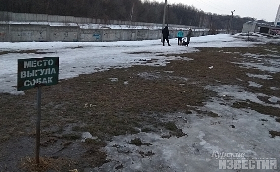 Почему куряне не убирают за своими питомцами отходы их жизнедеятельности