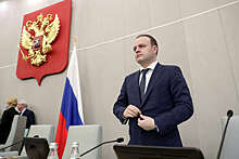 Вице-спикер Госдумы Даванков внес на рассмотрение законопроект об отзыве мэров