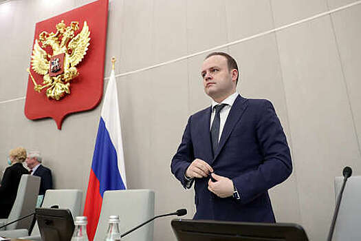 Вице-спикер Госдумы Даванков внес на рассмотрение законопроект об отзыве мэров