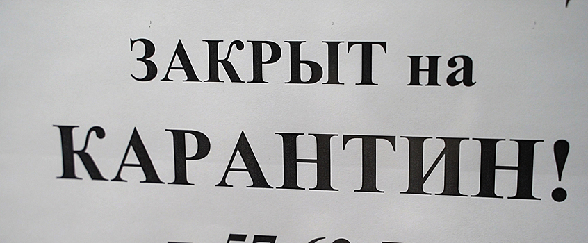 В Октябрьском районе Ижевска ввели карантин по бешенству