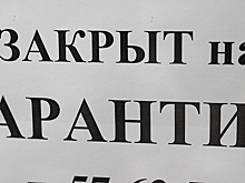 В Октябрьском районе Ижевска ввели карантин по бешенству