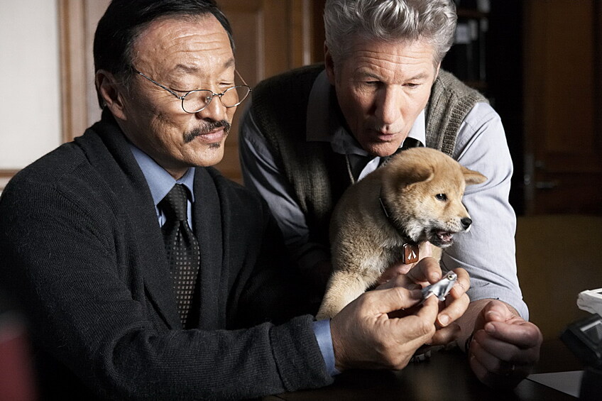 «Хатико: Самый верный друг» (2008). Профессор Паркер Уилсон и щенок, найденный на вокзале, становятся лучшими друзьями.