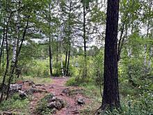 В Бадинском участке Забайкаллесхоза готовят технику к пожароопасному сезону