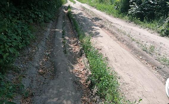 Жители села в Курской области жалуются, что из-за бездорожья остались без врача