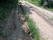 Жители села в Курской области жалуются, что из-за бездорожья остались без врача