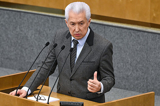 Руководитель ЕР Васильев: ФРГ, поддерживающая ВСУ, ведет преступную деятельность