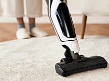 В Кузбассе аренда пылесоса для обернулась для мошенницы условным сроком