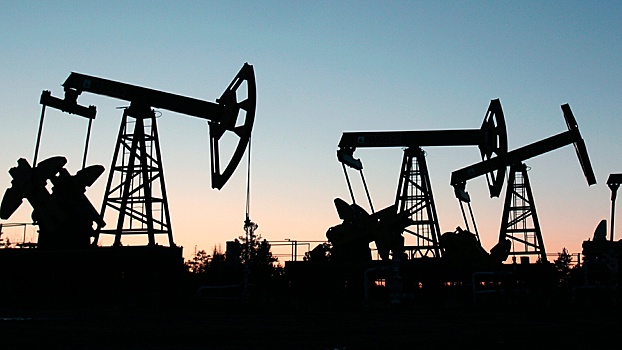 Страны G7 призвали Индонезию ограничить цены на российскую нефть