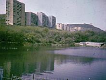 Неожиданная находка обнаружена на дне озера в известном парке