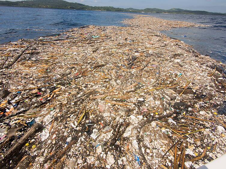 Вода становится непригодной для питья и обитания в ней живых организмов.