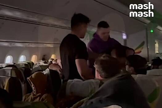 Пьяный россиянин избил пассажиров самолета на рейсе из-за границы