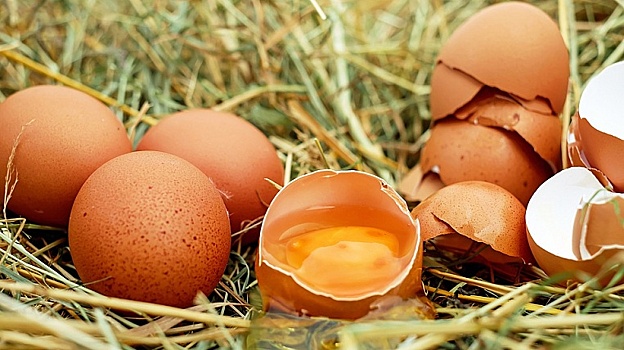 Дефицитные яйца везут на Сахалин из трех регионов