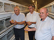 Буйнакский район с рабочим визитом посетил первый заместитель министра сельского хозяйства и продовольствия РД Шарип Шарипов