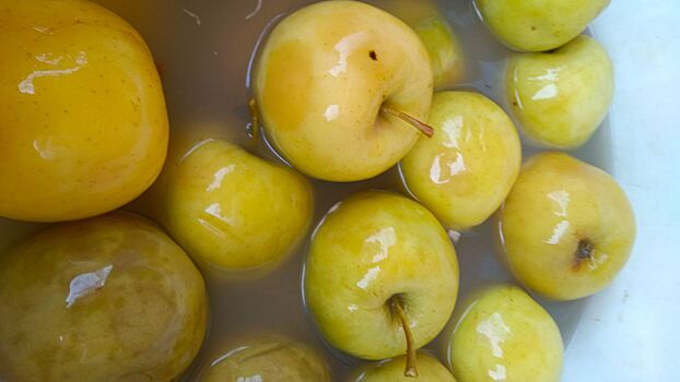 7 причин, по которым нельзя есть яблоки