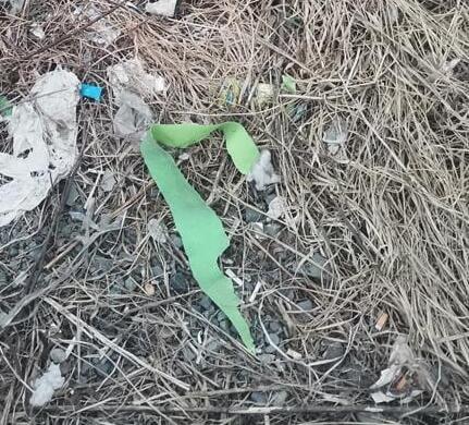 История с горами мусора возле жилых домов во Владивостоке получила продолжение