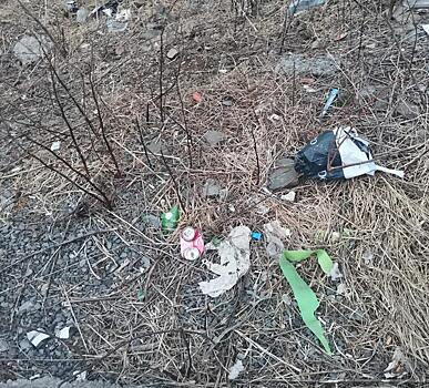 История с горами мусора возле жилых домов во Владивостоке получила продолжение