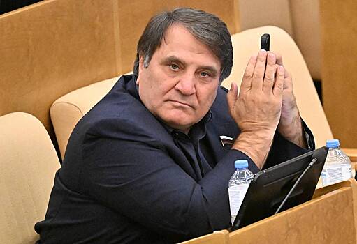 Депутат Госдумы обратился к Бастрыкину из-за ареста москвички