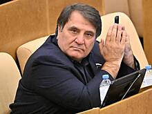 Депутат Госдумы обратился к Бастрыкину из-за ареста москвички