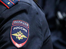 Женщина натравила собаку на полицейского и получила три года условно