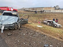 В Оренбуржье по факту смертельного ДТП возбудили уголовное дело