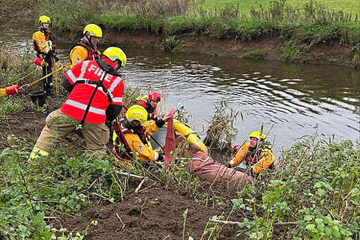 UPI: британские пожарные спасли истощенную лошадь, застрявшую в реке