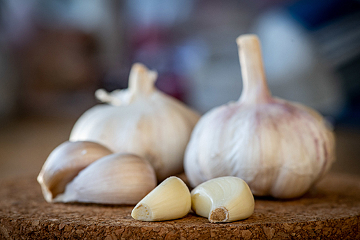«Сибирский» способ высаживания озимого чеснока раскрыла агроном Александрова