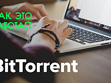 Как это работает? | BitTorrent