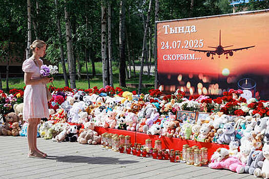 Минтранс РФ: на месте крушения Ан-24 в Амурской области обнаружили черные ящики