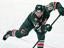 Дыняк: «В последнее время «Ак Барс» выпустил птицу счастья из своих рук»