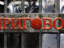 Кто получит на орехи. Цикл документальных расследований