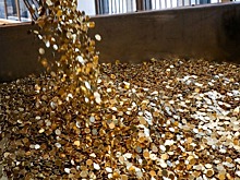 МСП Банк предоставил бизнесменам в Ингушетии 1,1 млрд рублей