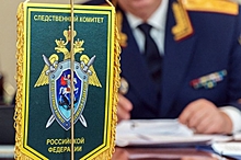 В Новосибирске следователи проверяют информацию об издевательстве над детьми