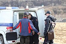 Более 900 преступлений раскрыли сотрудники ППС в Нижегородской области